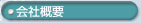 ЊTv