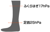 ӂ͂ 17 hPa
 25 hPa