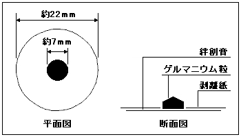 本体の形状